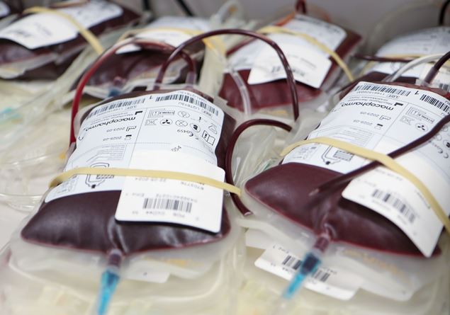 Blood emergency in Milan, Avis launches an awareness campaign