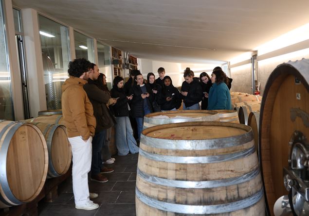 When stories ferment: the reporters of Romagna wine reporters