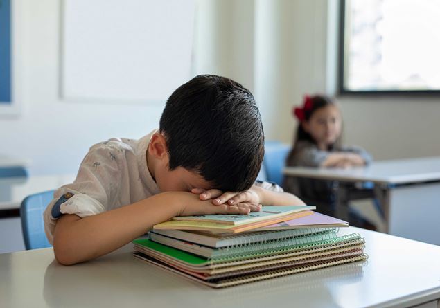 The summer of inequalities