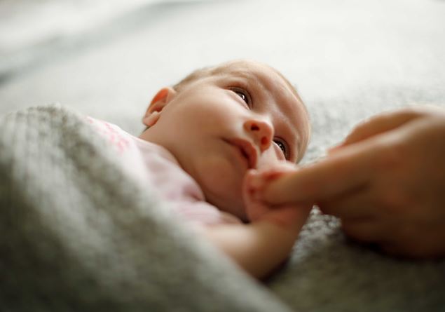 The drama of the newborn stolen from the mother after the parental competence test