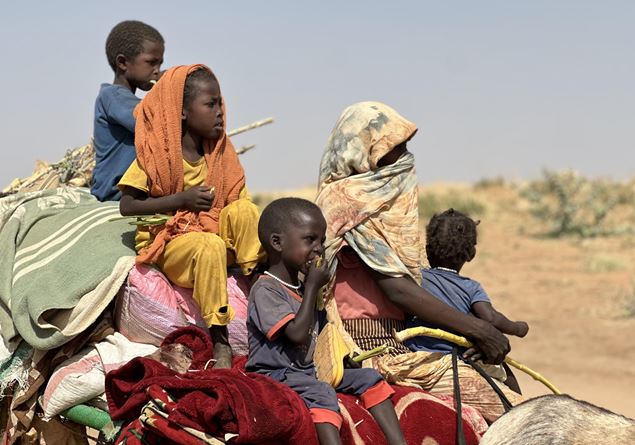 The Coopi alarm: 61 armed conflicts in the world, never so many since 1946