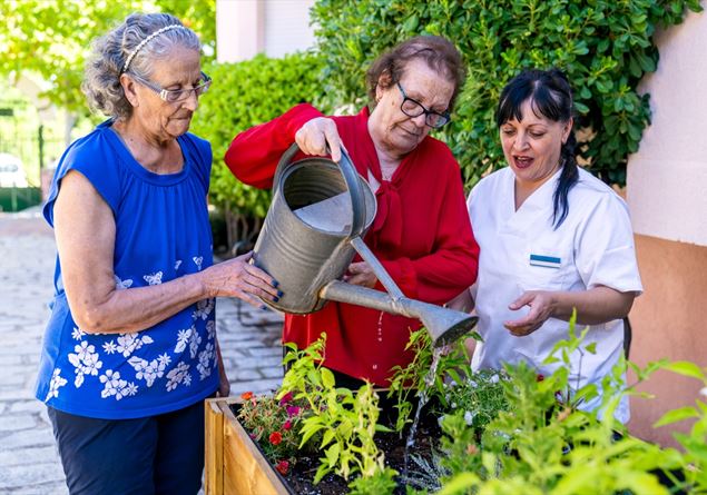 Alzheimer is not a sentence: at the center of the treatment there must be rehabilitation